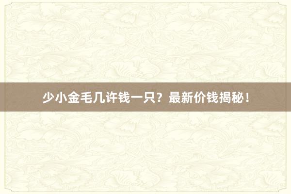 少小金毛几许钱一只？最新价钱揭秘！